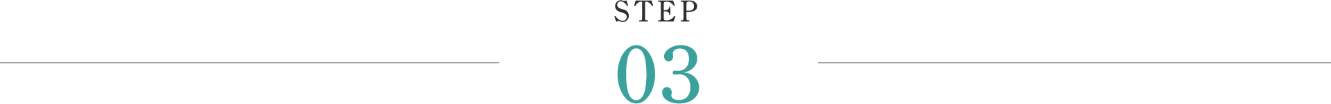 STEP03