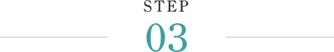 STEP03